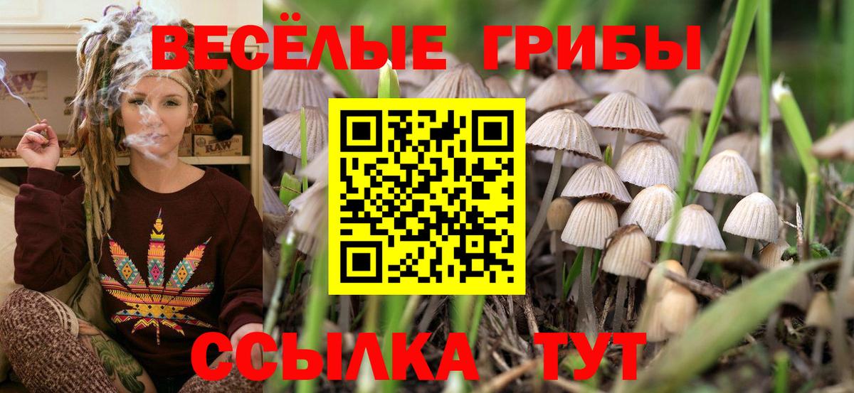 Галлюциногенные грибы GOLDEN TEACHER Благодарный