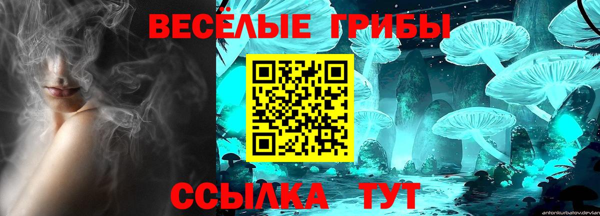 Псилоцибиновые грибы Cubensis  Псилоцибиновые грибы MAGIC MUSHROOMS  Вход с VPN  Благодарный 